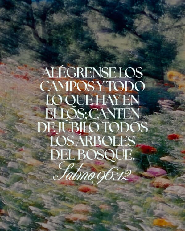 Alégrense los campos y todo lo que hay en ellos; canten de júbilo todos los árboles del bosque. — Salmo 96:12