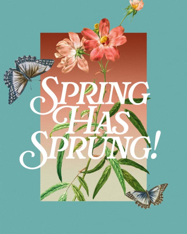 Spring has sprung!