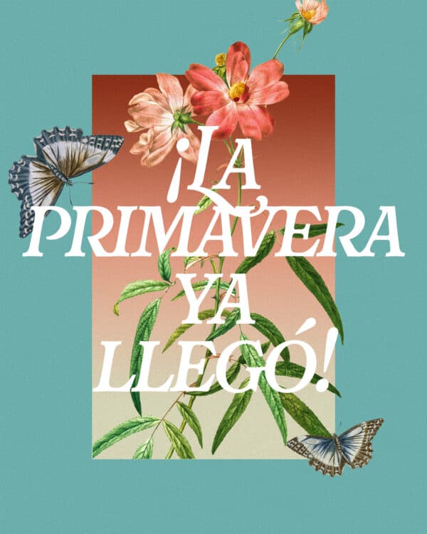 ¡La primavera ya llegó!