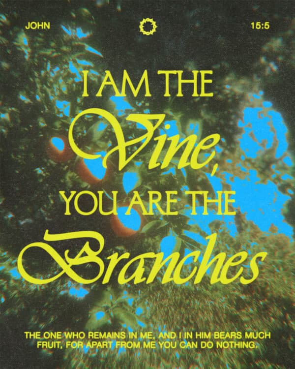 I am the vine, you are the branches; the one who remains in Me, and I in him bears much fruit, for apart from Me you can do nothing. - John 15:5
