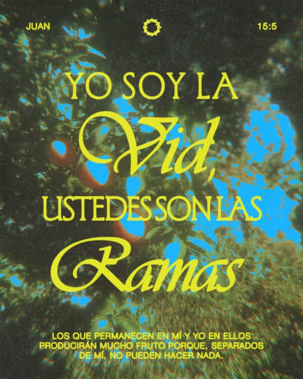 Ciertamente, yo soy la vid; ustedes son las ramas. Los que permanecen en mí y yo en ellos producirán mucho fruto porque, separados de mí, no pueden hacer nada. - Juan 15:5