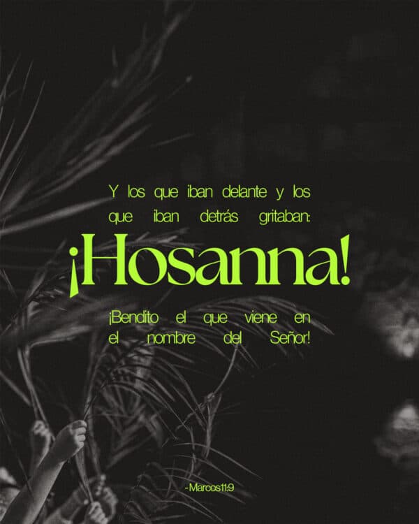 Y los que iban delante y los que iban detrás gritaban: “¡Hosanna! ¡Bendito el que viene en el nombre del Señor!” - Marcos 11:9