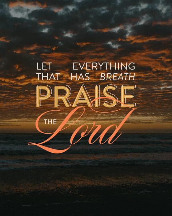 Let everything that has breath praise the Lord! - Psalm 150:6
