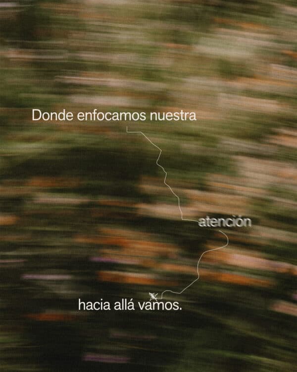 Donde enfocamos nuestra atención, hacia allá vamos.