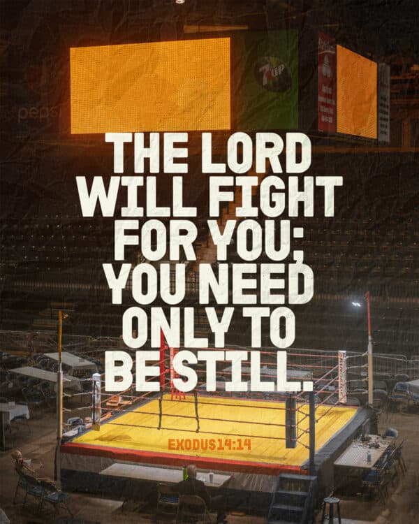 The Lord will fight for you; you need only to be still. - Exodus 14:14