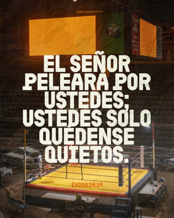 El Señor peleará por ustedes; ustedes solo quédense quietos. – Éxodo 14:14