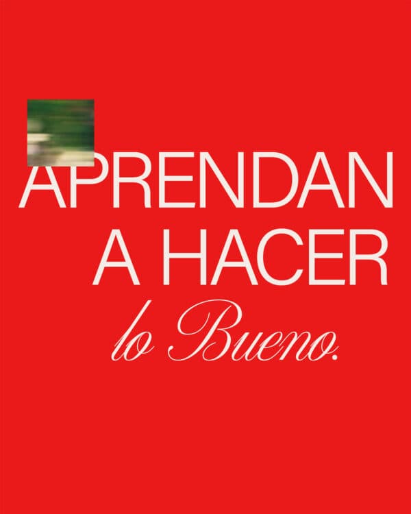 Aprendan a hacer lo bueno, ayuden al maltratado, traten con justicia al huérfano y defiendan a la viuda. - Isaias 1:17