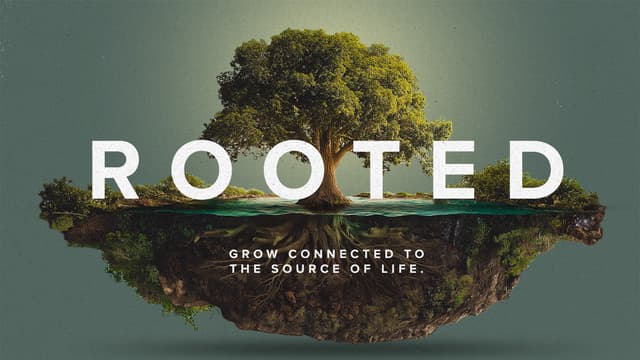Rooted: Grow connected to the source of life.