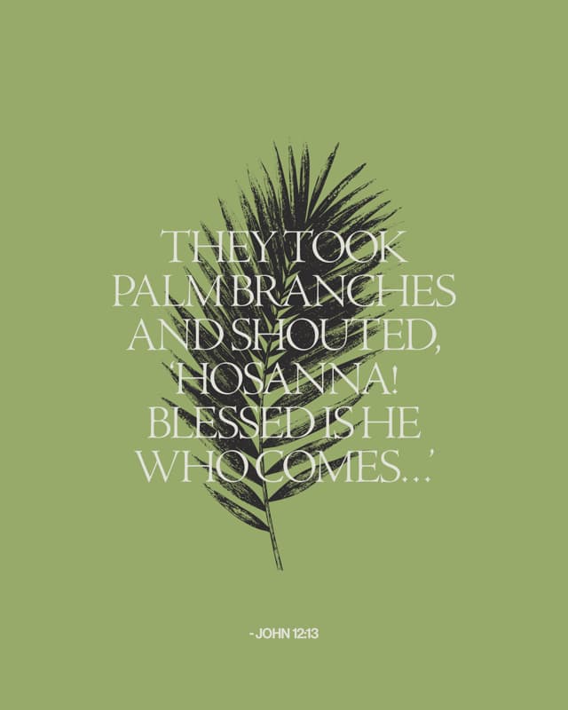 Scripture Posts