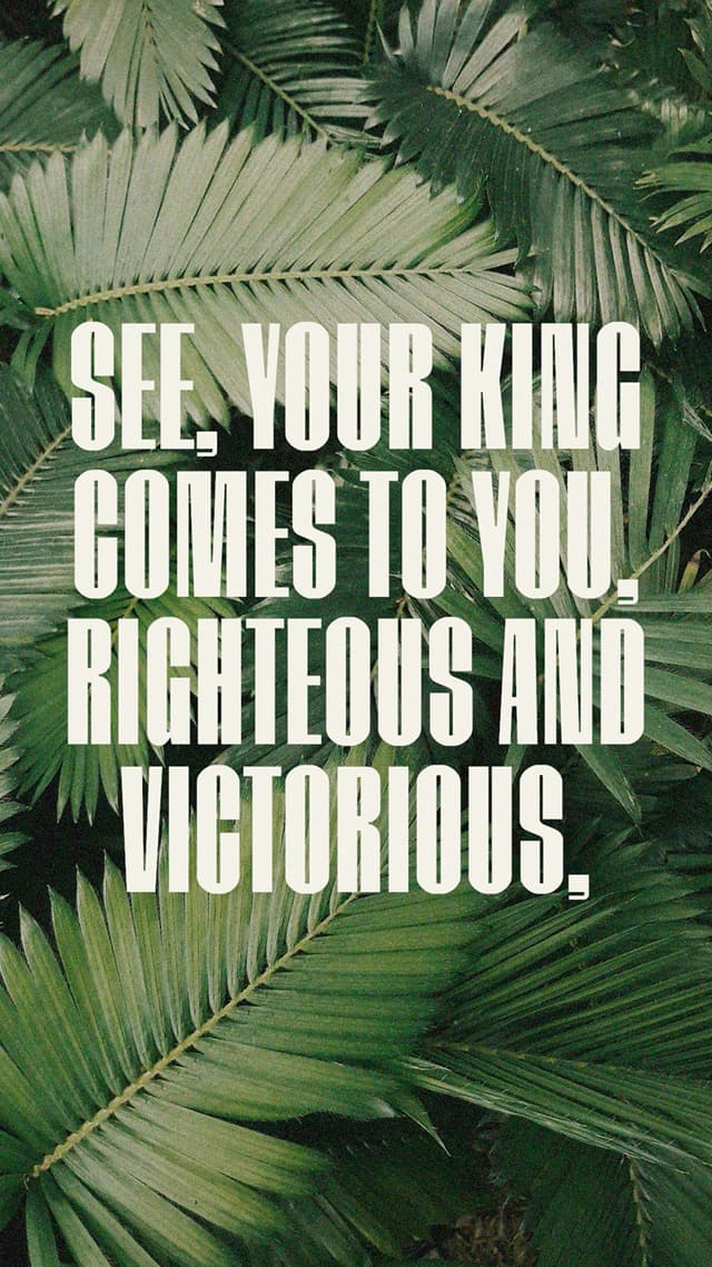 Rejoice greatly, Daughter Zion! Shout, Daughter Jerusalem! See, your king comes to you, righteous and victorious, lowly and riding on a donkey, on a colt, the foal of a donkey. – Zechariah 9:9