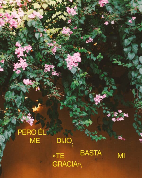 Pero Él me dijo: «Te basta mi gracia», «porque mi poder se perfecciona en la debilidad». Por lo tanto, con mucho gusto me gloriaré más bien en mis debilidades, para que el poder de Cristo repose sobre mí. — 2 Corintios 12:9