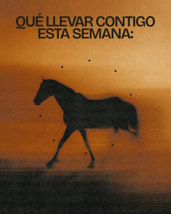 Qué llevar contigo esta semana: