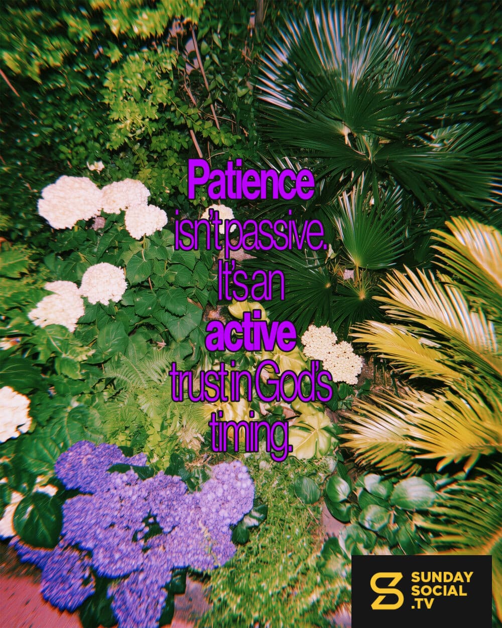 Patience isn’t passive. It’s an active trust in God’s timing.