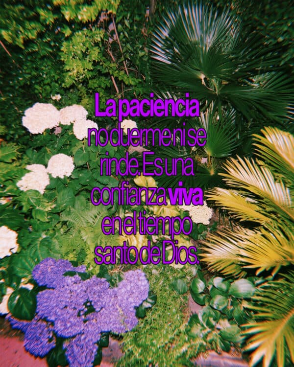 La paciencia no duerme ni se rinde. Es una confianza viva en el tiempo santo de Dios.