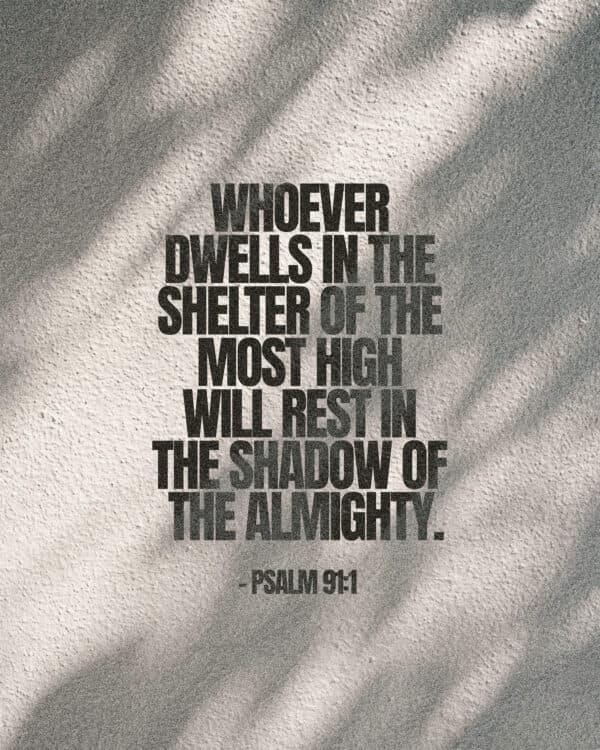 Whoever dwells in the shelter of the Most High will rest in the shadow of the Almighty. - Psalm 91:1