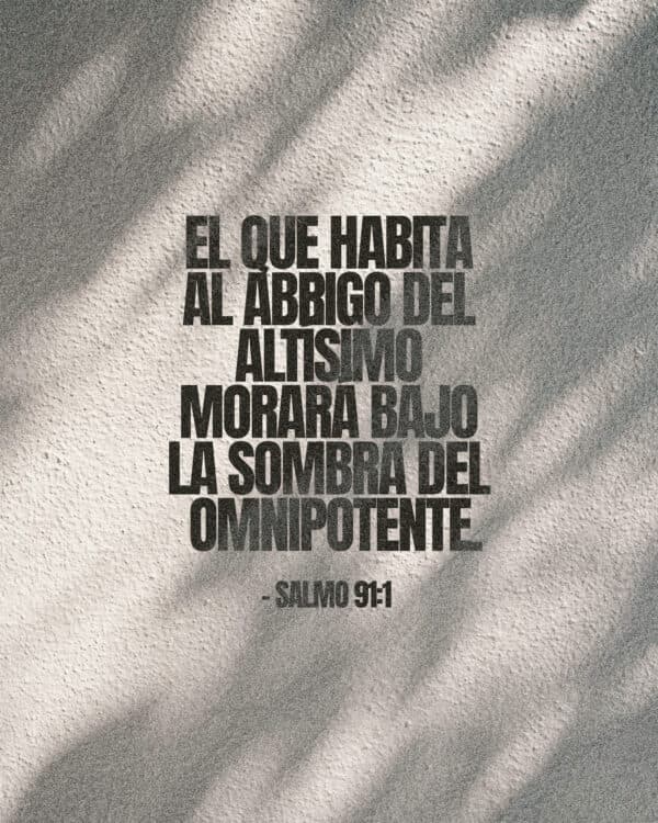 El que habita al abrigo del Altísimo morará bajo la sombra del Omnipotente. - Salmo 91:1