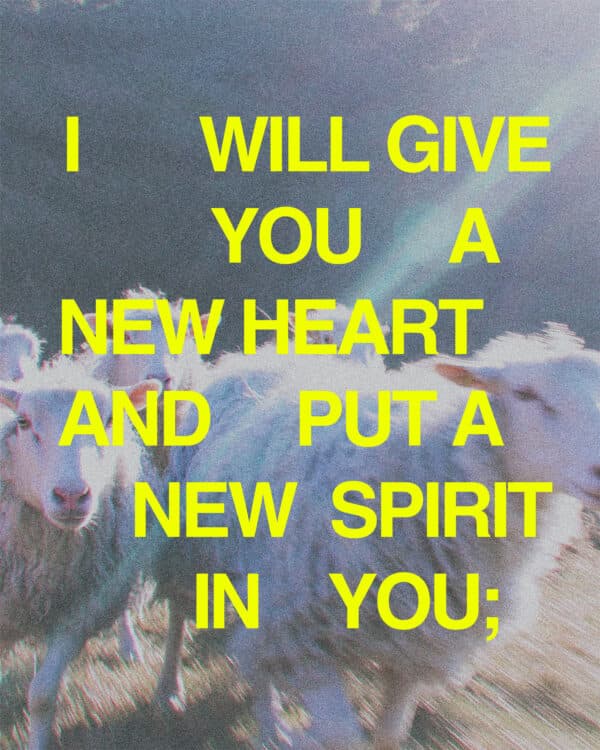 I will give you a new heart and put a new spirit in you; I will remove from you your heart of stone and give you a heart of flesh. - Ezekiel 36:26
