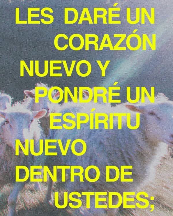 Les daré un corazón nuevo y pondré un espíritu nuevo dentro de ustedes; Quitaré de ustedes el corazón de piedra y les daré un corazón de carne. - Ezequiel 36:26
