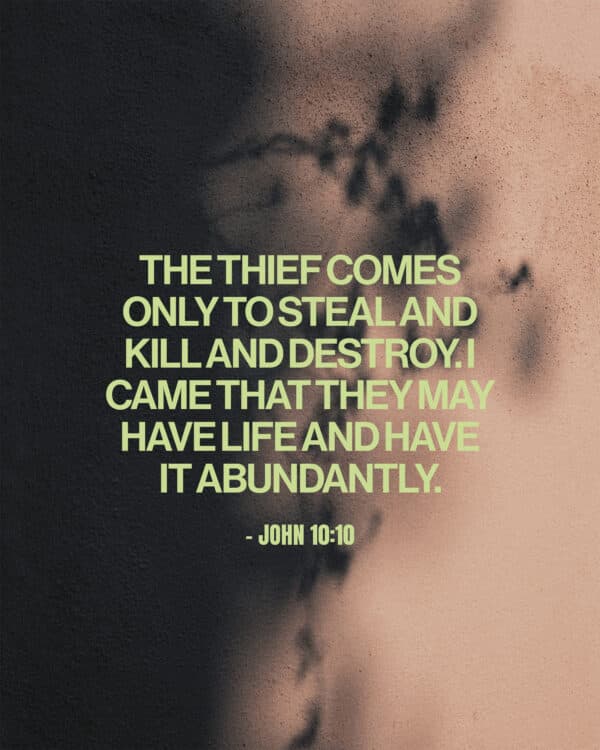 The thief comes only to steal and kill and destroy. I came that they may have life and have it abundantly. - John 10:10