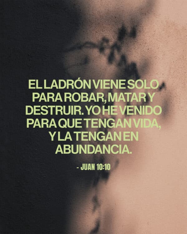 El ladrón viene solo para robar, matar y destruir. Yo he venido para que tengan vida, y la tengan en abundancia. - Juan 10:10