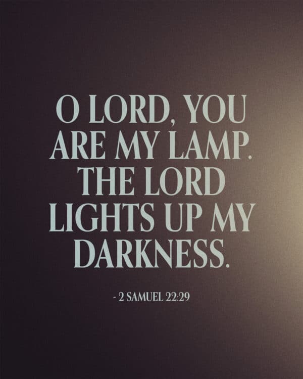 O LORD, you are my lamp. The LORD lights up my darkness. - 2 Samuel 22:29