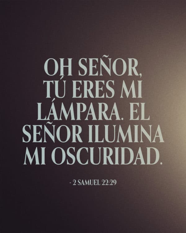 Oh SEÑOR, tú eres mi lámpara. El SEÑOR ilumina mi oscuridad. - 2 Samuel 22:29