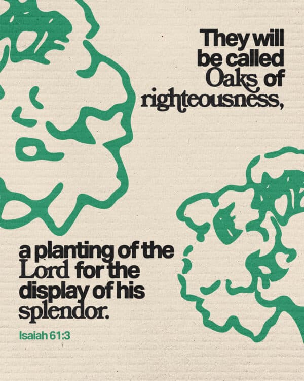 They will be called oaks of righteousness, a planting of the LORD for the display of his splendor. - Isaiah 61:3