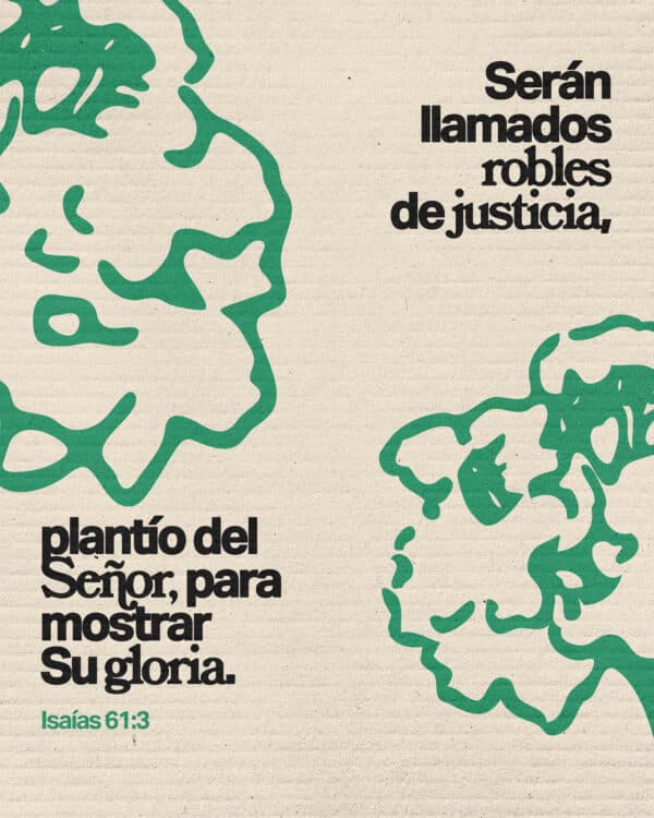 Serán llamados robles de justicia, plantío del SEÑOR, para mostrar Su gloria. – Isaías 61:3