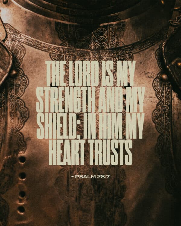 The LORD is my strength and my shield; in him my heart trusts. - Psalm 28:7