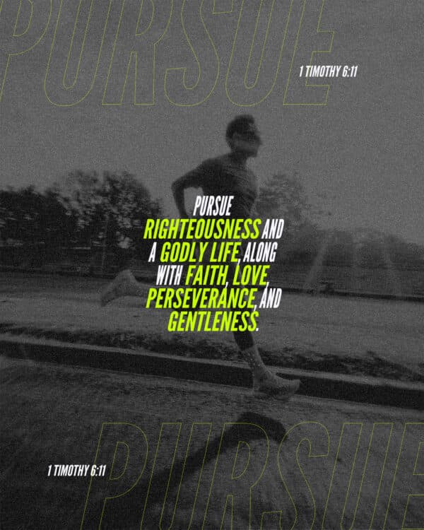 Pursue righteousness and a godly life, along with faith, love, perseverance, and gentleness. - 1 Timothy 6:11