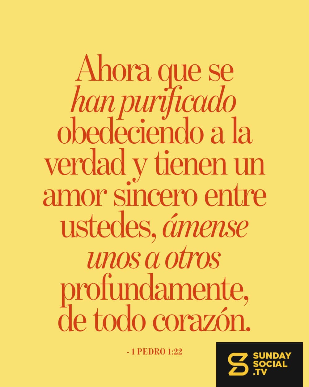 Ahora que se han purificado obedeciendo a la verdad y tienen un amor sincero entre ustedes, ámense unos a otros profundamente, de todo corazón. - 1 Pedro 1:22