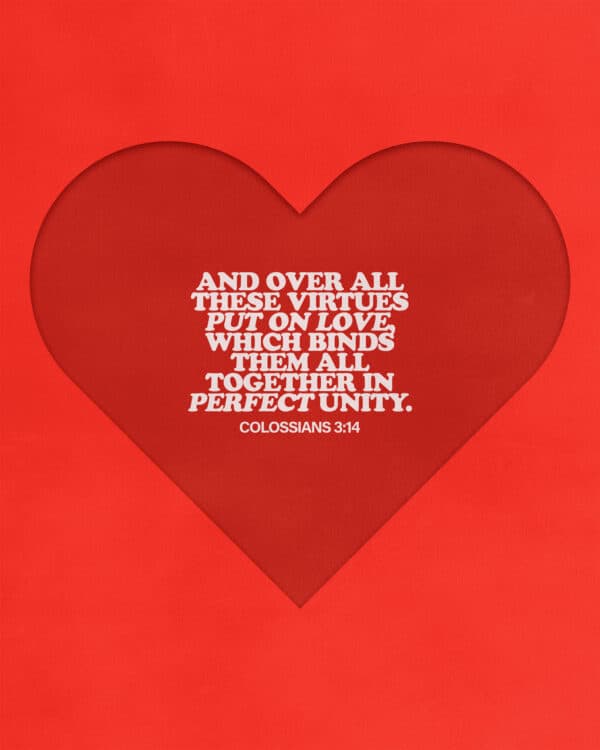 And over all these virtues put on love, which binds them all together in perfect unity. - Colossians 3:14