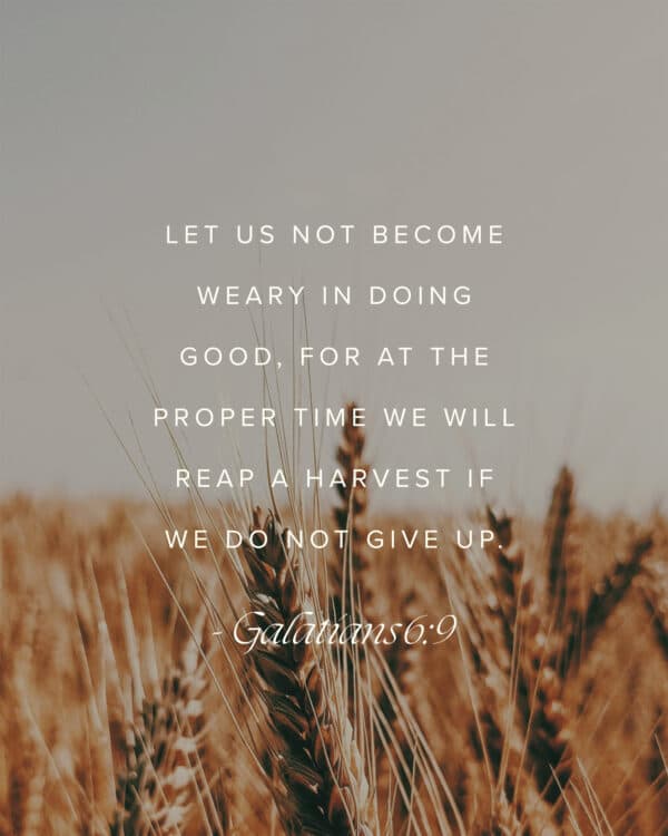 Let us not become weary in doing good, for at the proper time we will reap a harvest if we do not give up. - Galatians 6:9