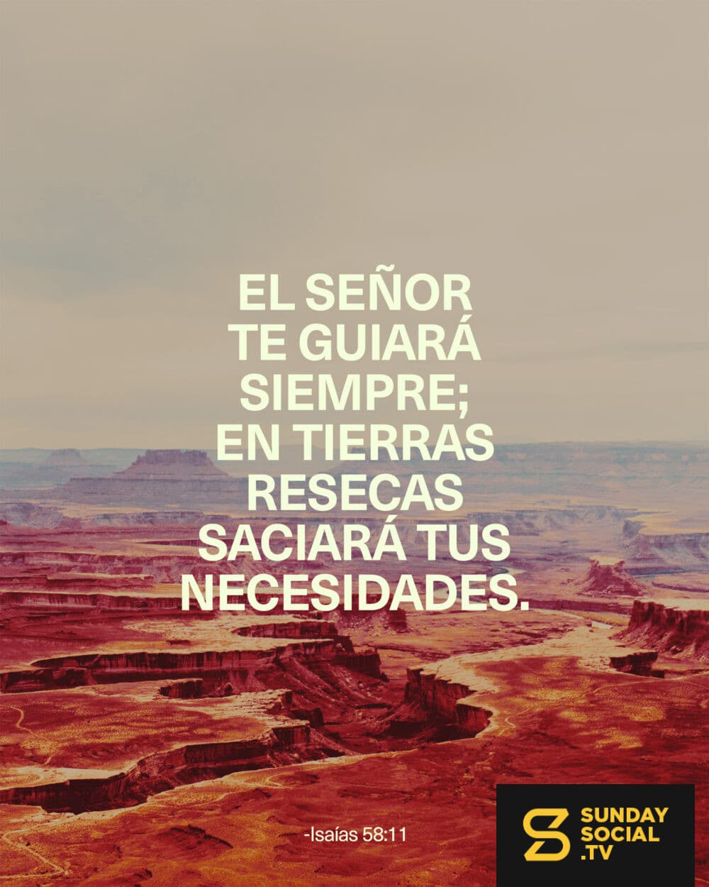 El SEÑOR te guiará siempre; en tierras resecas saciará tus necesidades. - Isaías 58:11