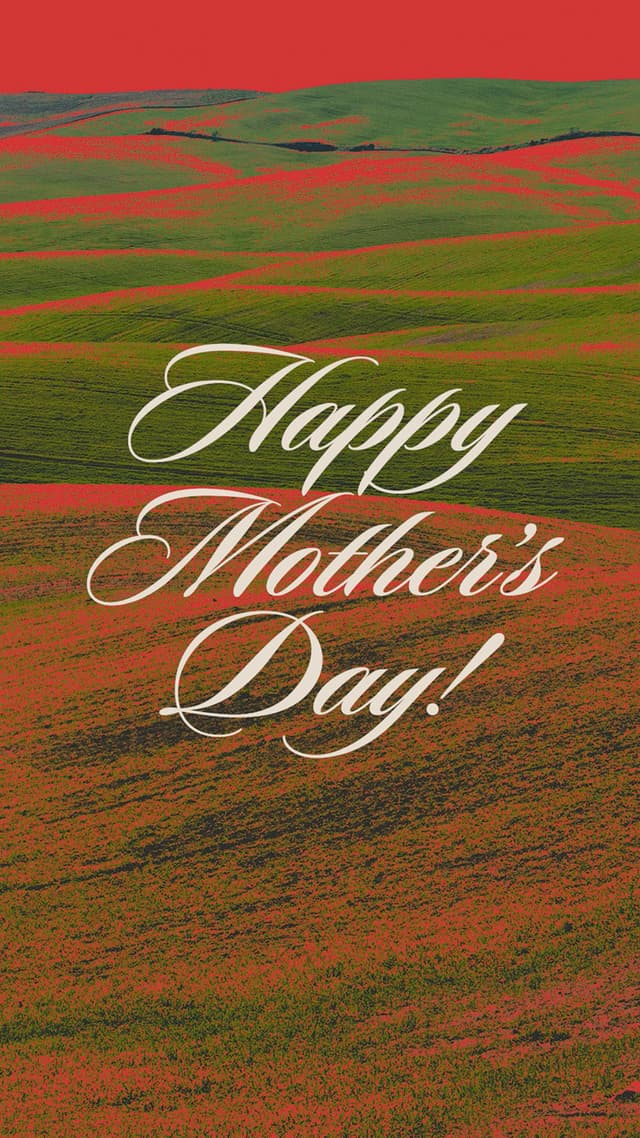 Her children arise and call her blessed; her husband also, and he praises her. – Proverbs 31:28