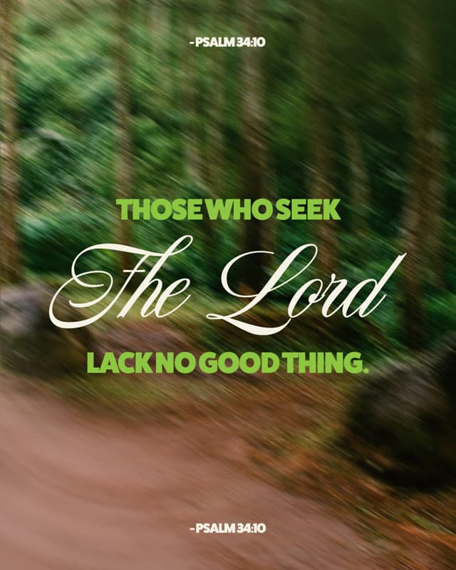 Scripture Posts