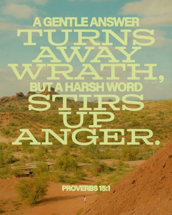 A gentle answer turns away wrath, but a harsh word stirs up anger. - Proverbs 15:1