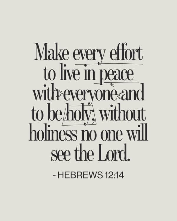 Make every effort to live in peace with everyone and to be holy; without holiness no one will see the Lord. - Hebrews 12:14