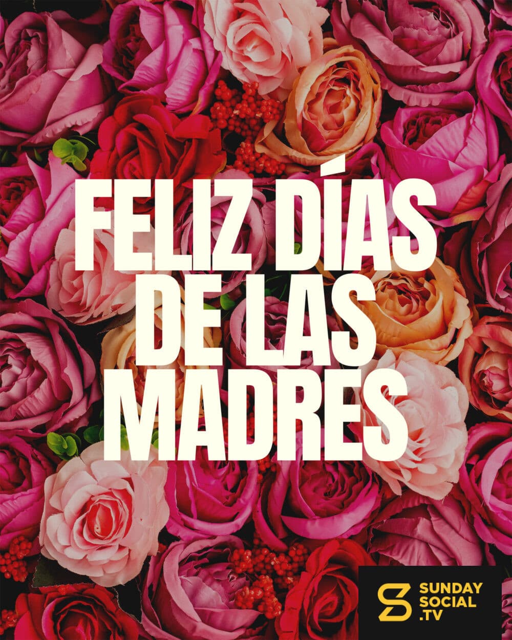 ¡Feliz Día de las Madres!