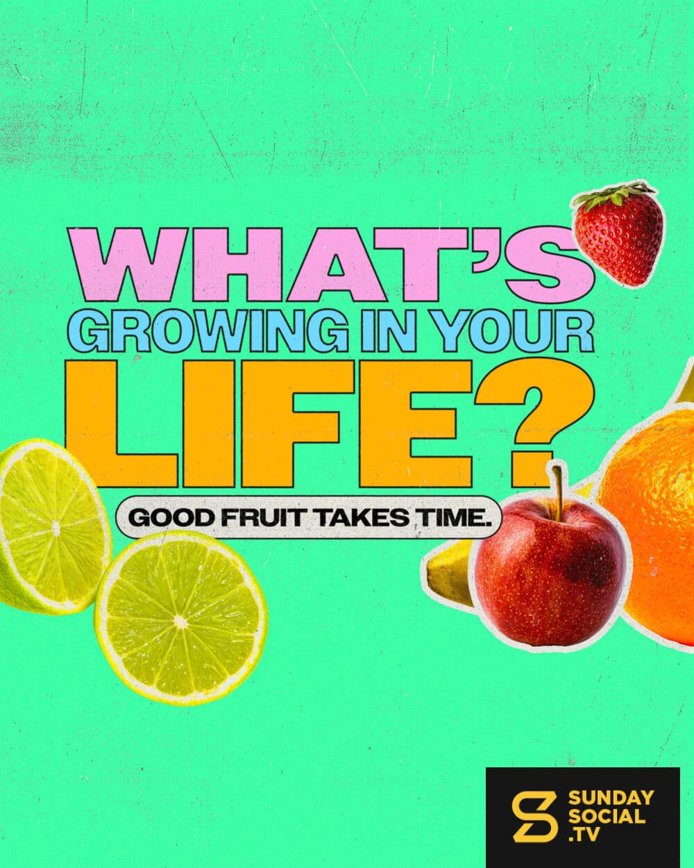 What's Growing in Your Life? Good fruit takes time.