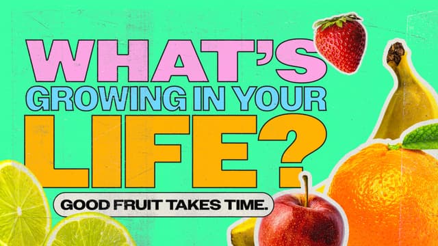 What's Growing in Your Life? Good fruit takes time.