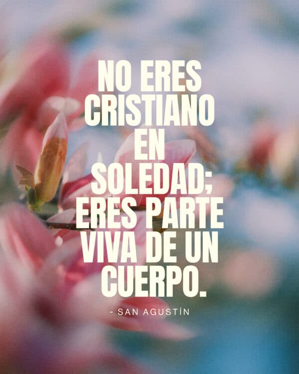 No eres cristiano en soledad; eres parte viva de un cuerpo. – San Agustín