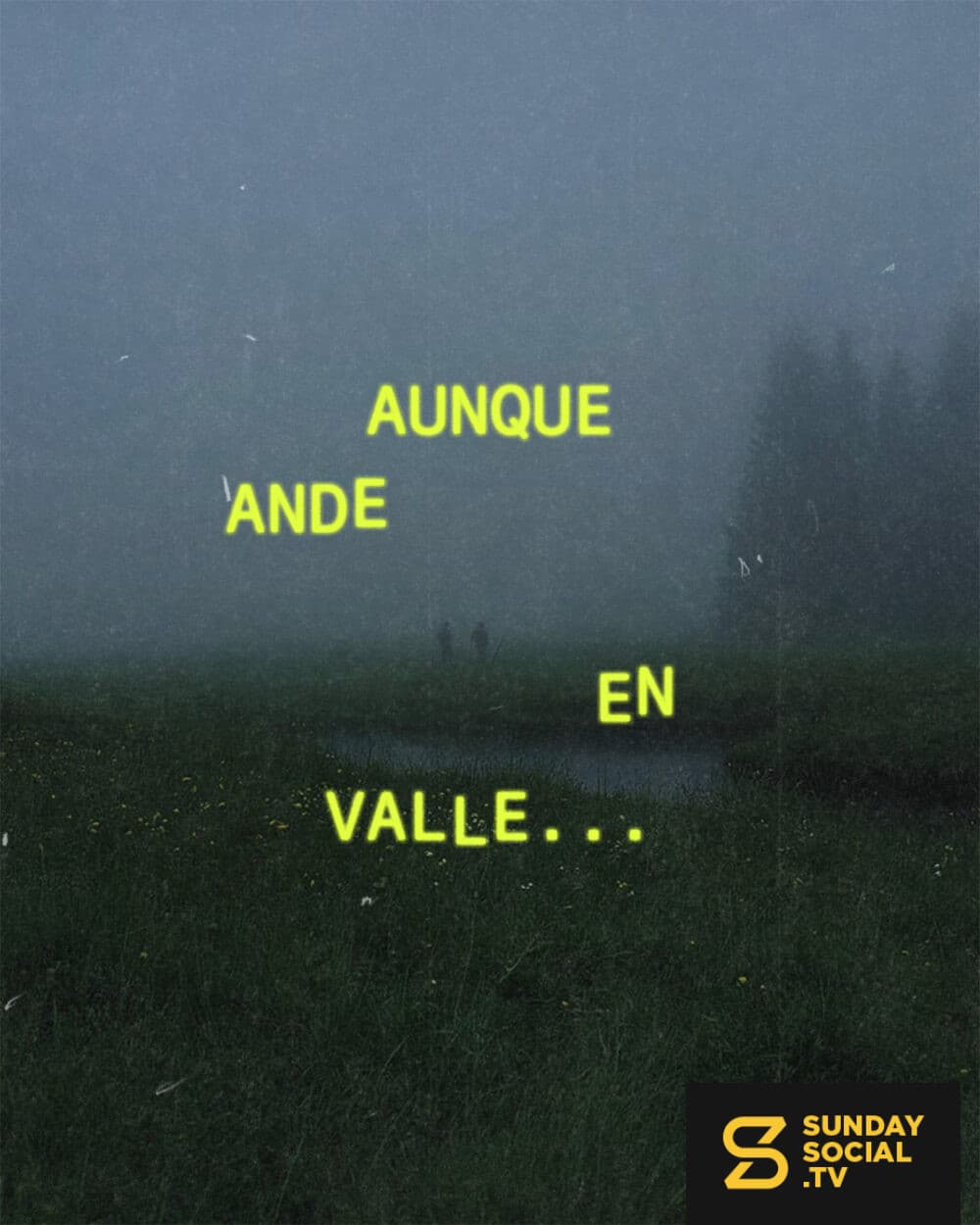 1. Aunque ande en valle  2. de sombra de muerte,  3. no temeré mal alguno,  4. porque tú estarás conmigo;  5. tu vara y tu cayado me infunden aliento.  — Salmo 23:4