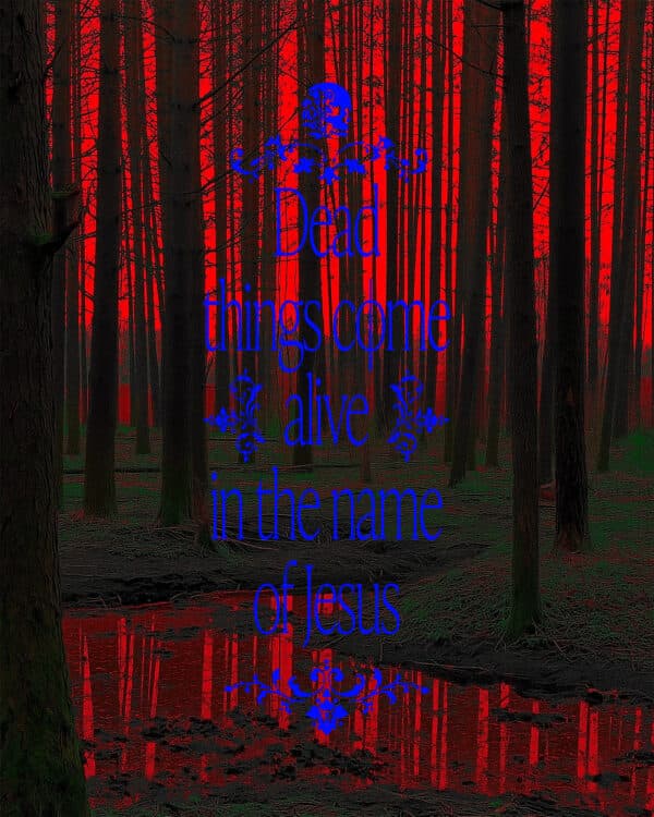 Dead things come alive in the name of Jesus