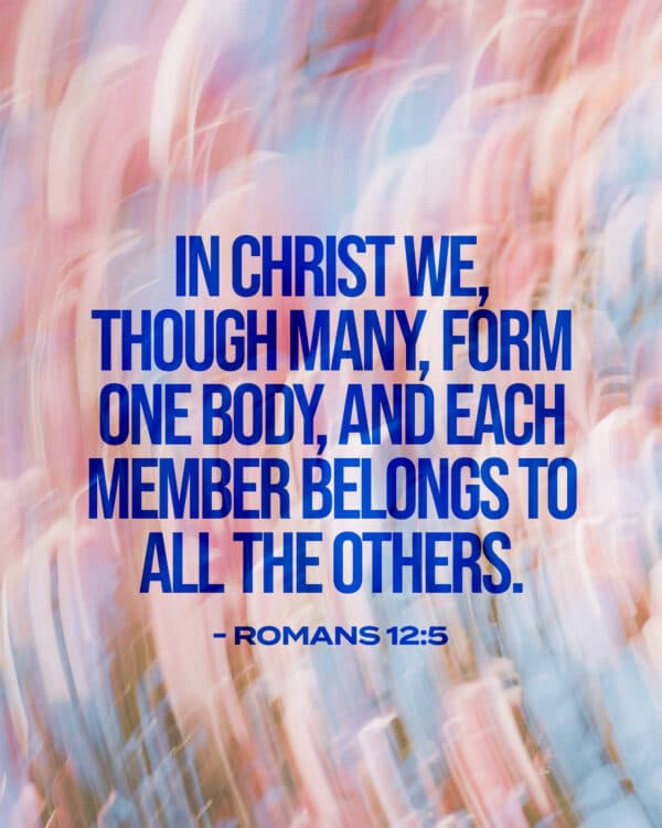 "In Christ we, though many, form one body, and each member belongs to all the others." - Romans 12:5