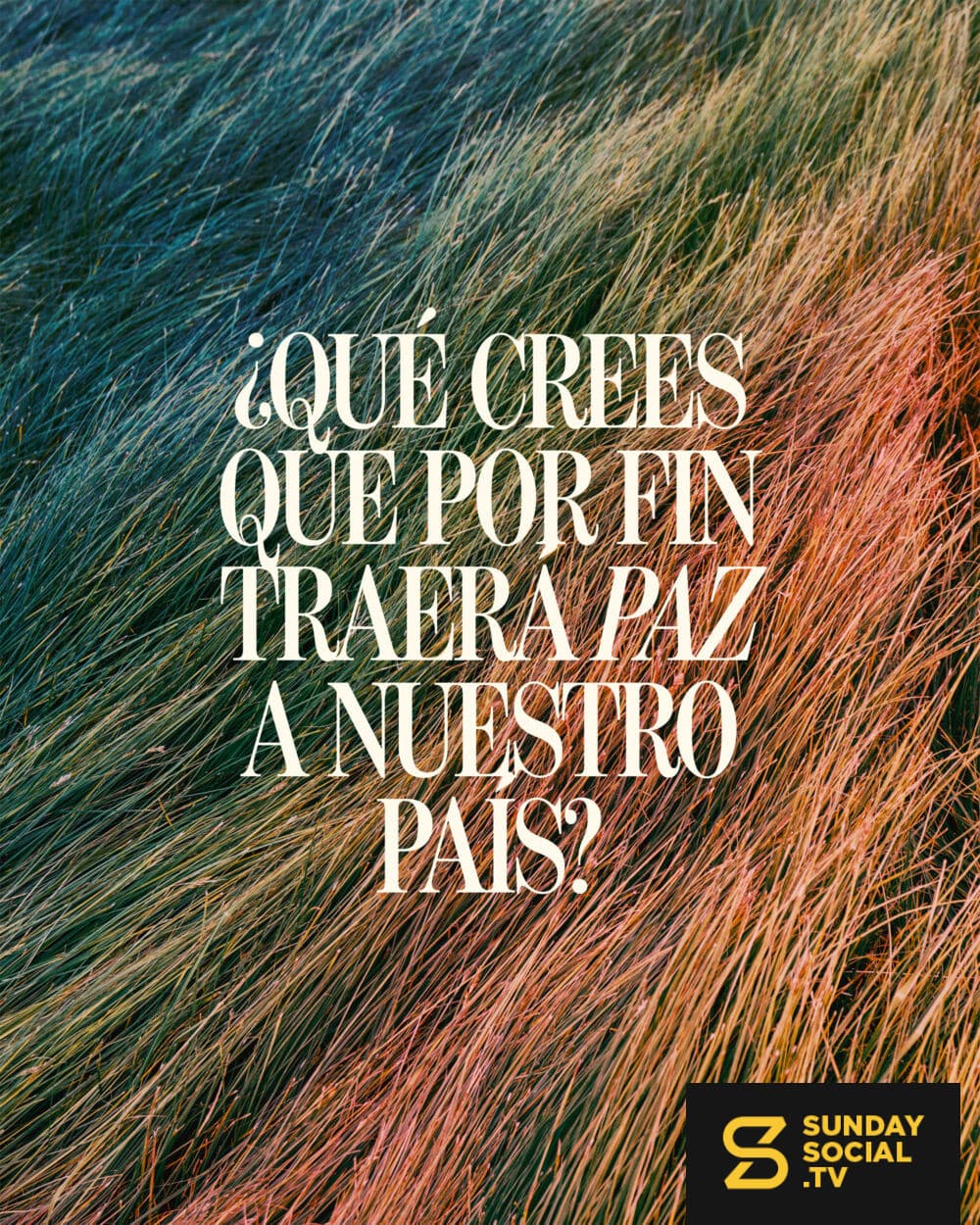 ¿Qué crees que por fin traerá paz a nuestro país?