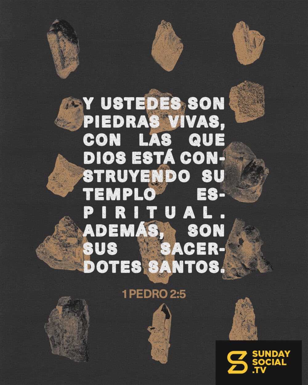"Y ustedes son piedras vivas, con las que Dios está construyendo su templo espiritual. Además, son sus sacerdotes santos." — 1 Pedro 2:5
