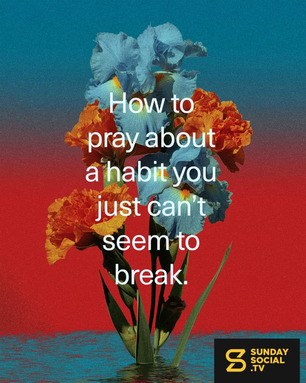 How to pray about a habit you just can’t seem to break.  1. Skip the performance. Be honest with God. “I can’t stop. I need help.”  2. Pray against the shame, not just the habit. “Help me feel confident in your acceptance of me.”  3. Ask for the desire, not just the willpower. “God, give me your desires.”  4. Pray for what will replace it. “Empty me of ____, and fill me with _______.”  5. Don’t pray alone. Confess your sins to one another thqt you can be healed.  6. Remember a bad day is just a bad day. It isn’t permanent failure.  7. “God, you know what I'm dealing with. I'm tired of trying on my own. I don't just want willpower…I want to actually change. Search my heart, replace my desires, and remind me today that I am not defined by this. Amen.”