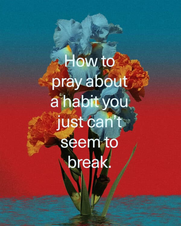How to pray about a habit you just can’t seem to break.  1. Skip the performance. Be honest with God. “I can’t stop. I need help.”  2. Pray against the shame, not just the habit. “Help me feel confident in your acceptance of me.”  3. Ask for the desire, not just the willpower. “God, give me your desires.”  4. Pray for what will replace it. “Empty me of ____, and fill me with _______.”  5. Don’t pray alone. Confess your sins to one another thqt you can be healed.  6. Remember a bad day is just a bad day. It isn’t permanent failure.  7. “God, you know what I'm dealing with. I'm tired of trying on my own. I don't just want willpower…I want to actually change. Search my heart, replace my desires, and remind me today that I am not defined by this. Amen.”
