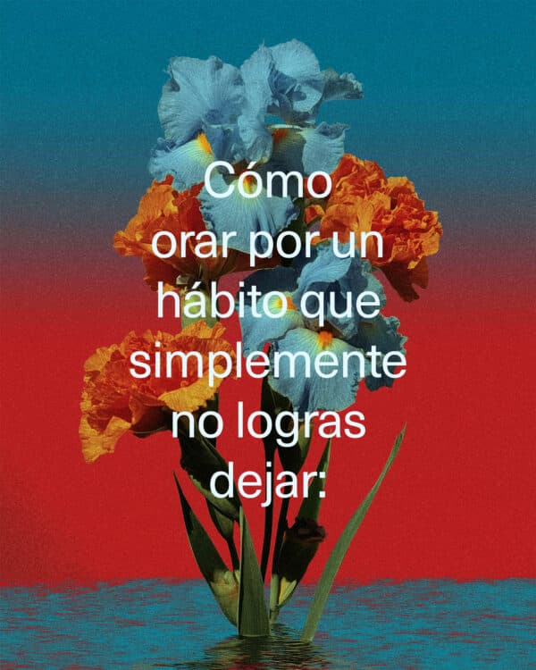 Cómo orar por un hábito que simplemente no logras dejar:  1. Suelta la apariencia. Sé honesto con Dios. “No puedo dejar esto. Necesito ayuda.”  2. Ora contra la vergüenza, no solo contra el hábito. “Ayúdame a sentirme seguro en que tú me aceptas.”  3. Pide el deseo, no solo la fuerza de voluntad. “Dios, dame tus deseos.”  4. Ora por lo que lo va a reemplazar. “Vacíame de ____, y lléname de _______.”  5. No ores solo. “Confiesen sus pecados unos a otros para que sean sanados.”  6. Recuerda: un mal día es solo un mal día. No es un fracaso permanente.  7. “Dios, tú sabes por lo que estoy pasando. Estoy cansado de intentarlo solo. No solo quiero fuerza de voluntad…quiero realmente cambiar. Examina mi corazón, reemplaza mis deseos y recuérdame hoy que esto no define quién soy. Amén.”